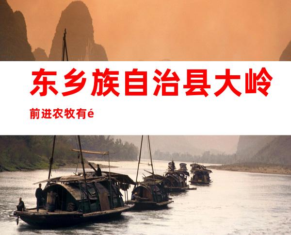 东乡族自治县大岭前进农牧有限公司